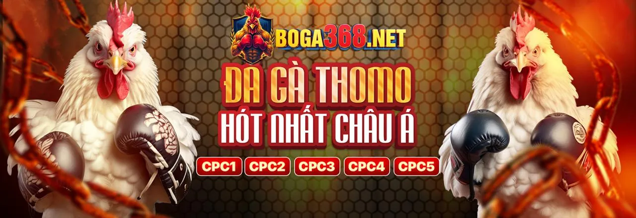 Xem đá gà trực tiếp chất lượng cao ga 6789